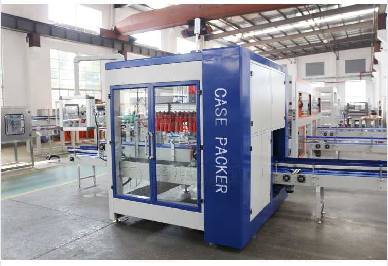 Automatic caser packer