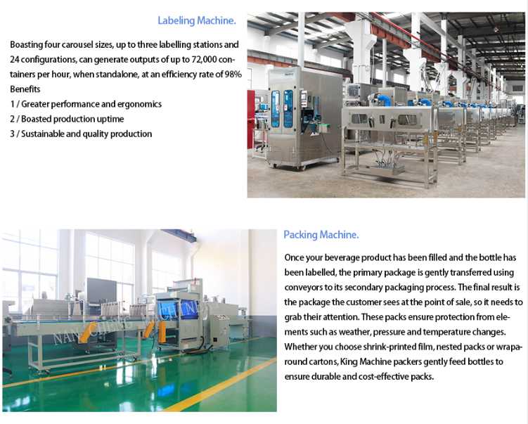 10000-12000BPH Automatic Water Washing Filling Capping 3-in-1 Machine 