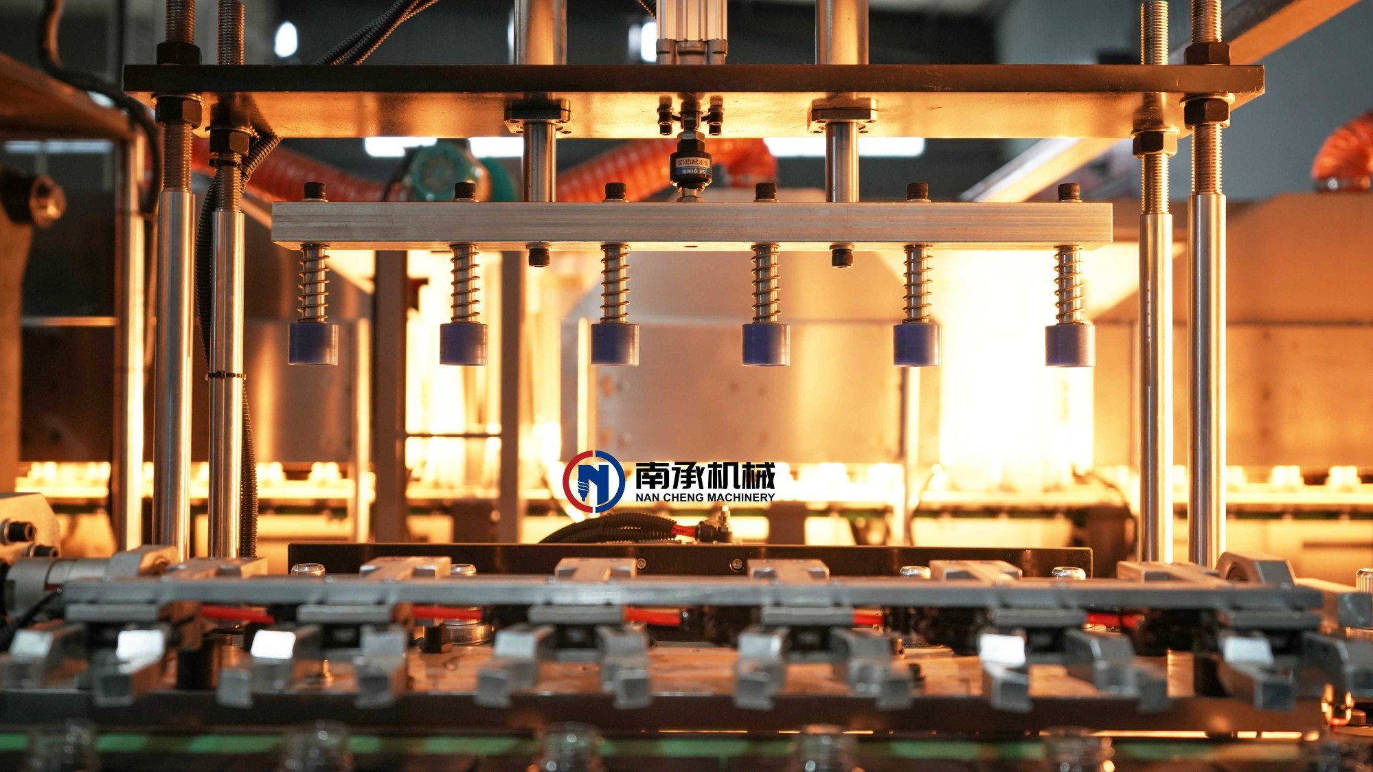 DSC01804sy DSC01804sy